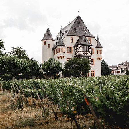 Schloss Schoenborn Geisenheim Kültér fotó