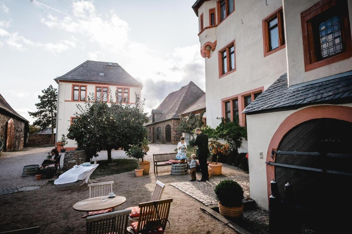 Schloss Schoenborn Geisenheim Kültér fotó
