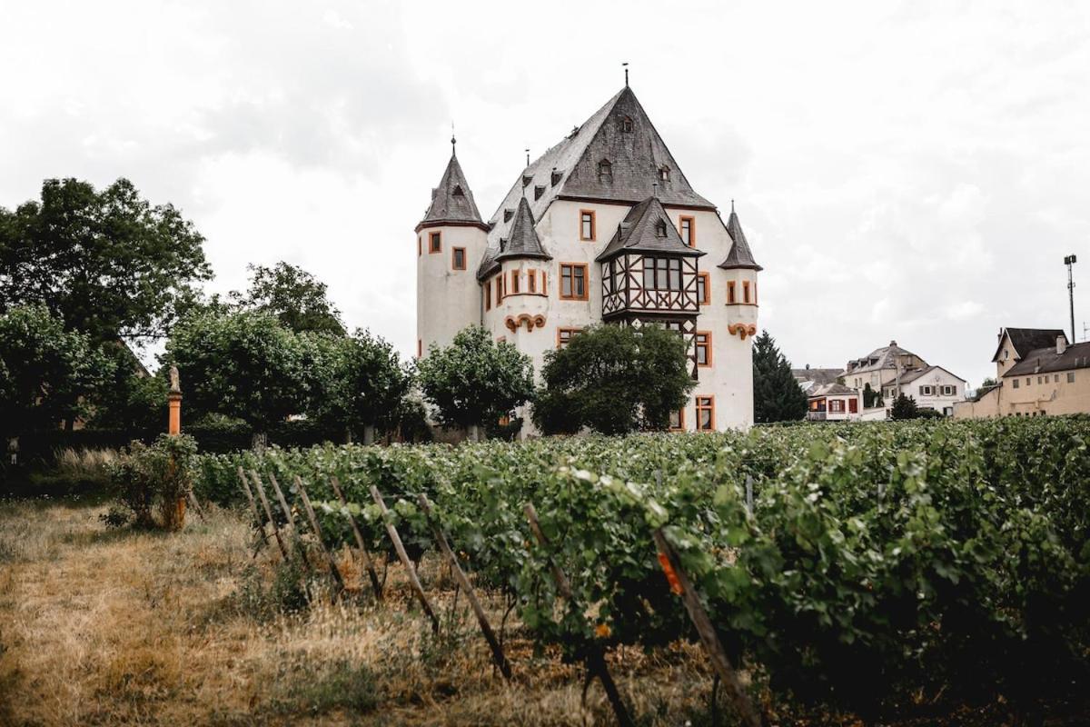 Schloss Schoenborn Geisenheim Kültér fotó