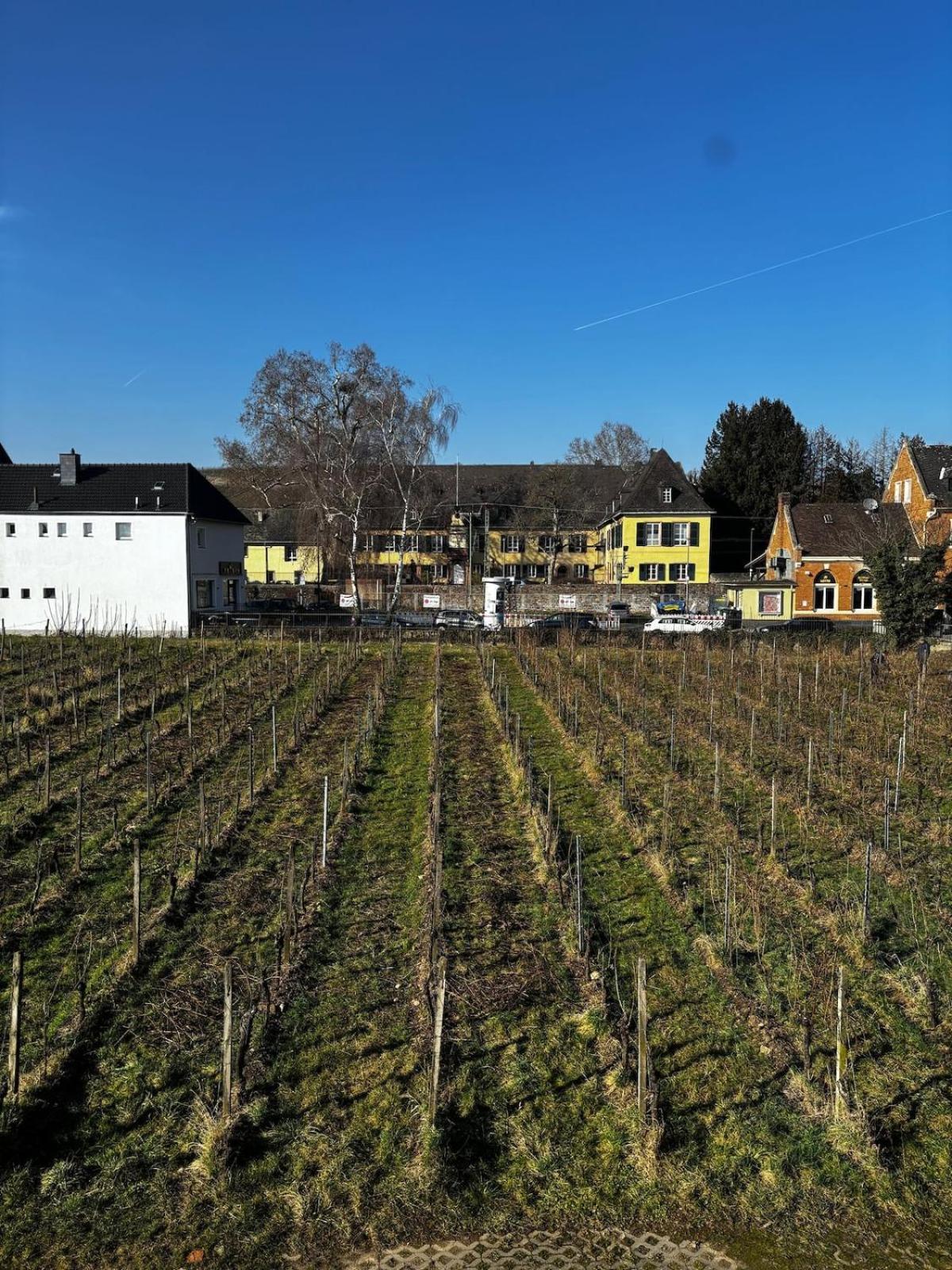 Schloss Schoenborn Geisenheim Kültér fotó